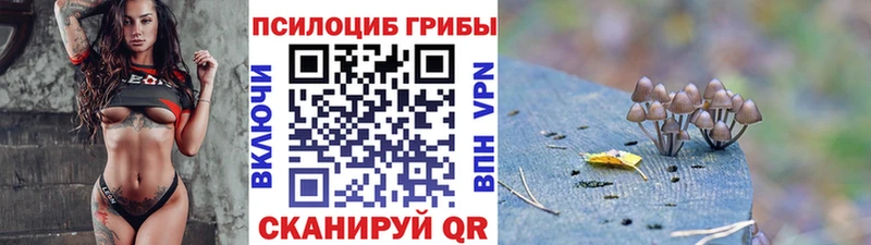Купить  Тюкалинск  Галлюциногенные грибы прущие грибы 